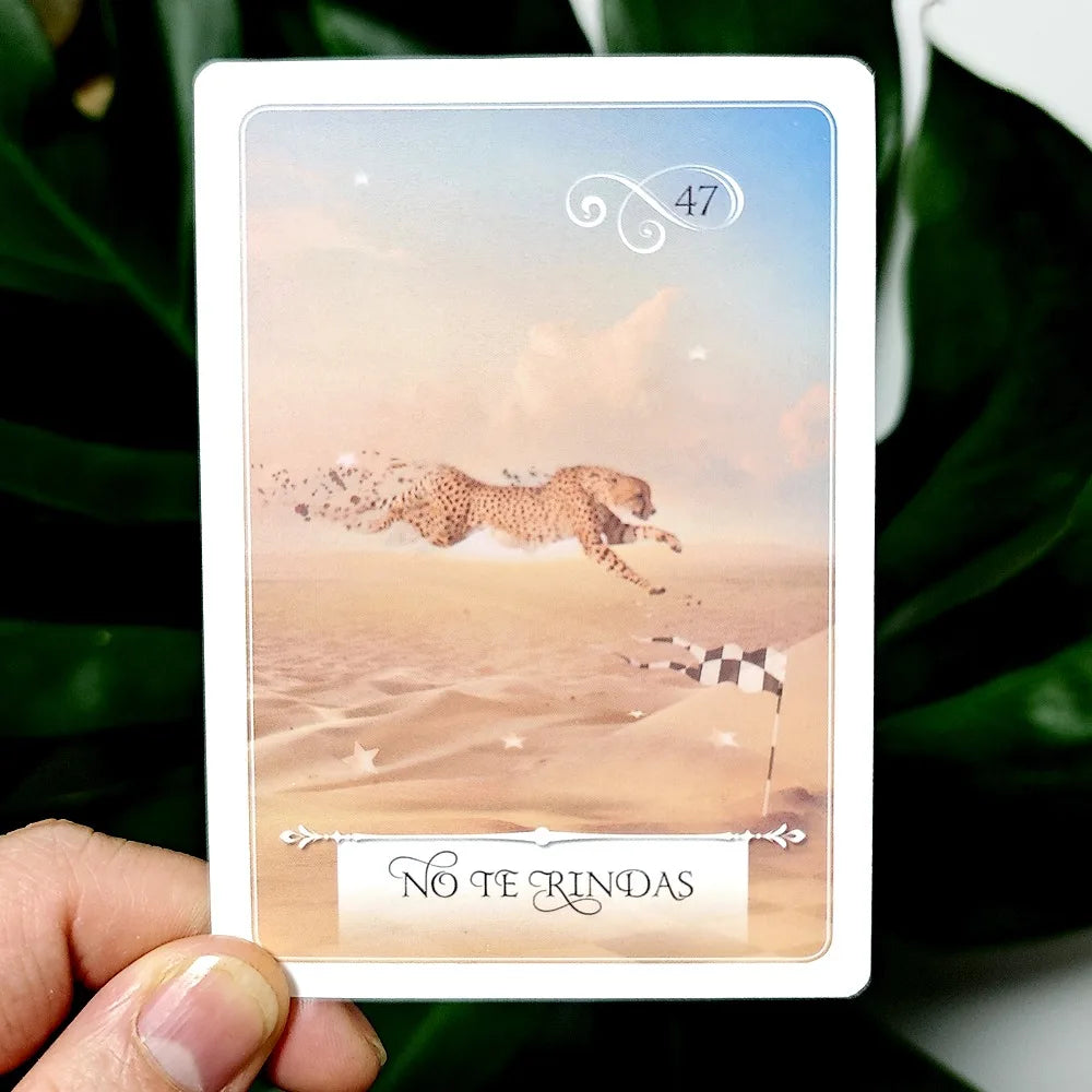 Oráculo de la Sabiduría — Colette Baron-Reid 52 Cartas