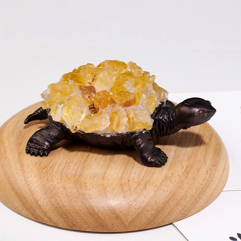 Tortuga de Cristal Natural con Drusa — Símbolo de Sabiduría y Longevidad